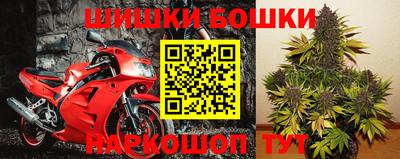 кокс Краснодар