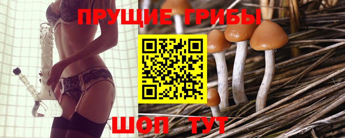 Псилоцибиновые грибы Psilocybine cubensis Истра
