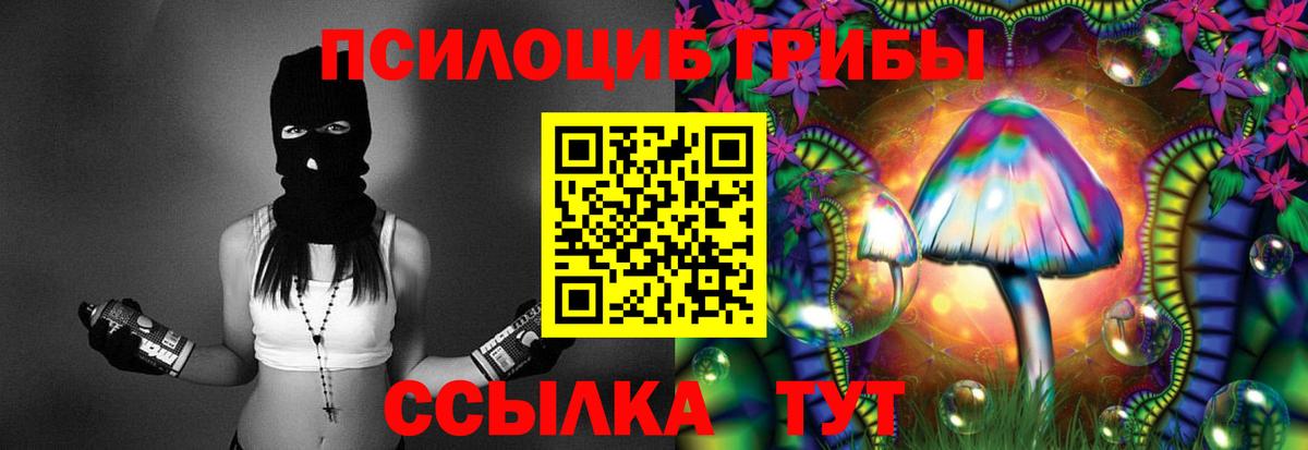 Истра  Псилоцибиновые грибы прущие грибы  Вход с VPN 